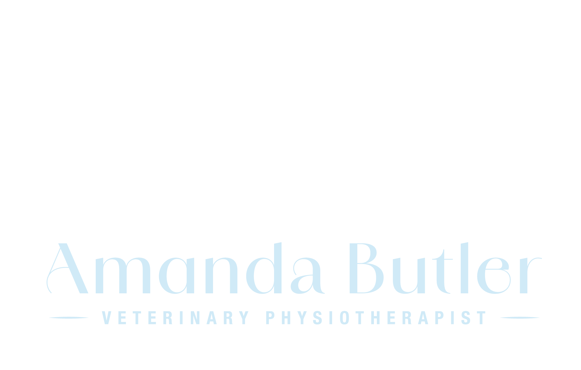 Amanda Butler Veterinary Physiotherapist